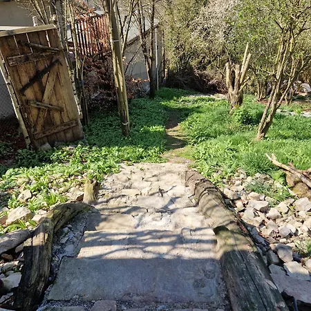 公寓 Henrys Cozy Tiny House - Ruhig, Garten, Terrasse