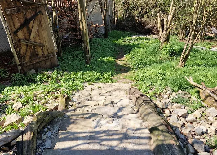 아파트 Henrys Cozy Tiny House - Ruhig, Garten, Terrasse